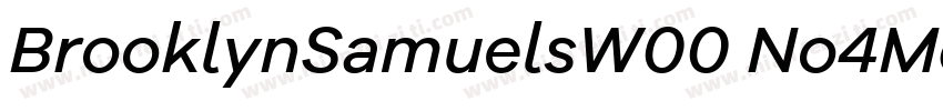 BrooklynSamuelsW00 No4Md字体转换
